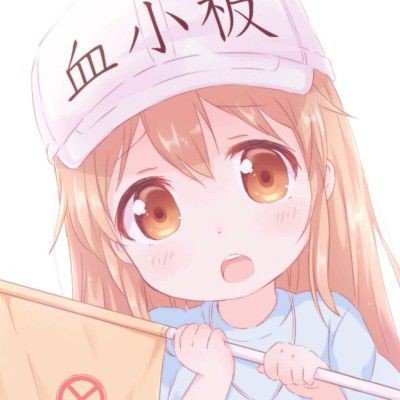 美国知名廉航因高油价停运